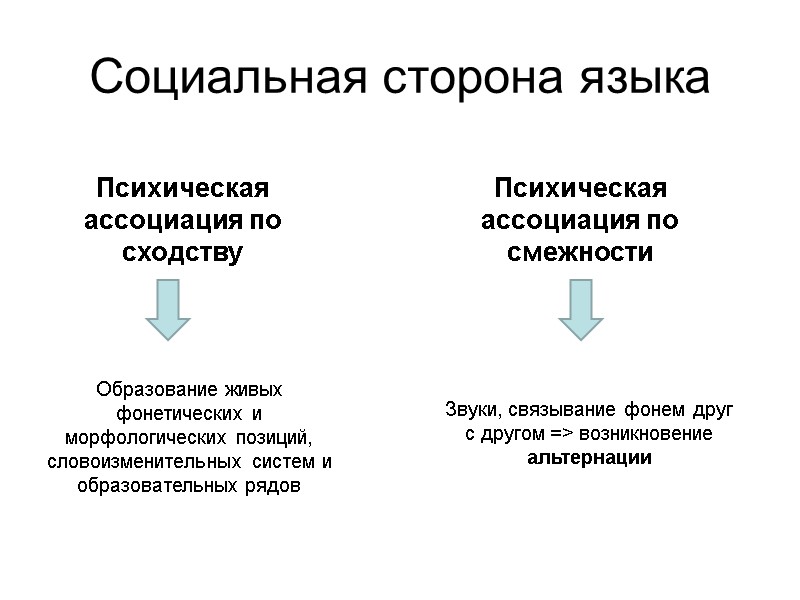 Социальная сторона языка Психическая ассоциация по сходству Психическая ассоциация по смежности Звуки, связывание фонем